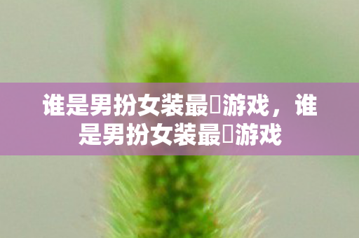 谁是男扮女装最囧游戏,谁是男扮女装最囧游戏 谁是男扮女装最囧游戏,谁是男扮女装最囧游戏