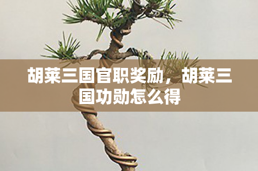 胡莱三国功勋怎么得图片