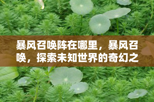 探索未知世界的奇幻之旅图片