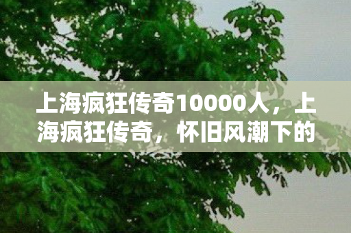 上海疯狂传奇10000人图片