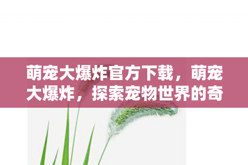 萌宠大爆炸官方下载,萌宠大爆炸,探索宠物世界的奇妙之旅 萌宠大爆炸官方下载,萌宠大爆炸,探索宠物世界的奇妙之旅