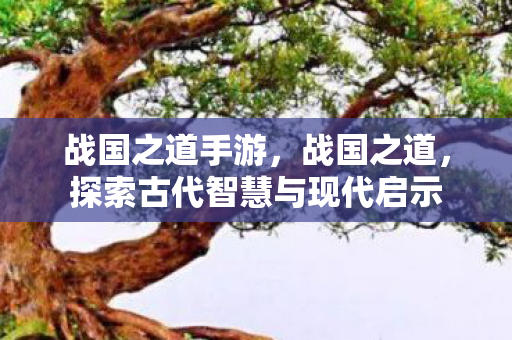 战国之道手游，战国之道，探索古代智慧与现代启示
