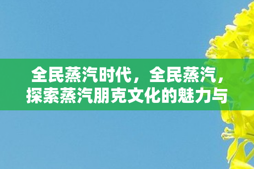全民蒸汽时代，全民蒸汽，探索蒸汽朋克文化的魅力与影响