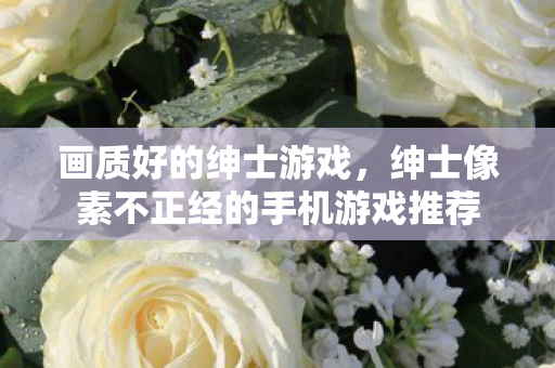 画质好的绅士游戏,绅士像素不正经的手机游戏推荐 画质好的绅士游戏,绅士像素不正经的手机游戏推荐