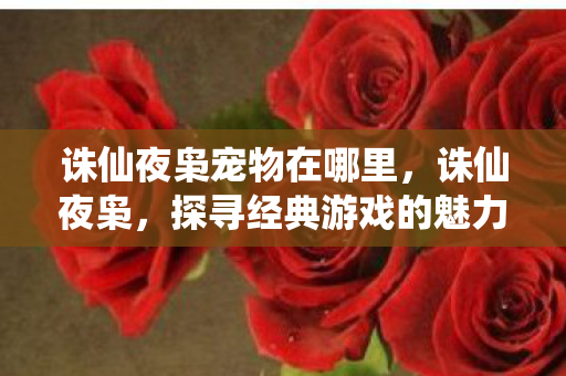 探寻经典游戏的魅力与传承图片