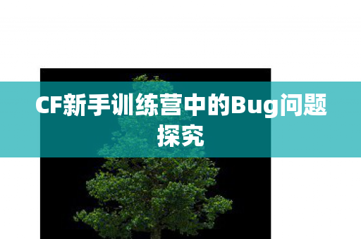 CF新手训练营中的Bug问题探究
