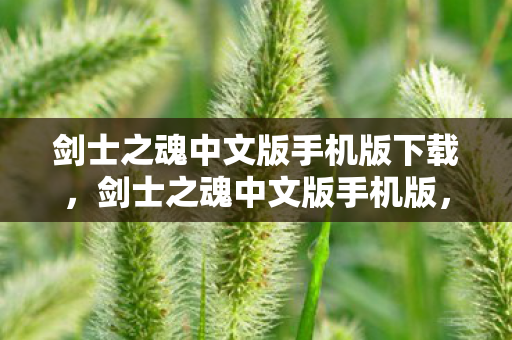 剑士之魂中文版手机版下载图片