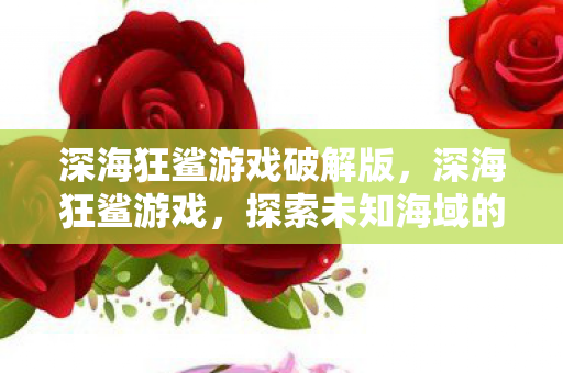 探索未知海域的冒险之旅图片