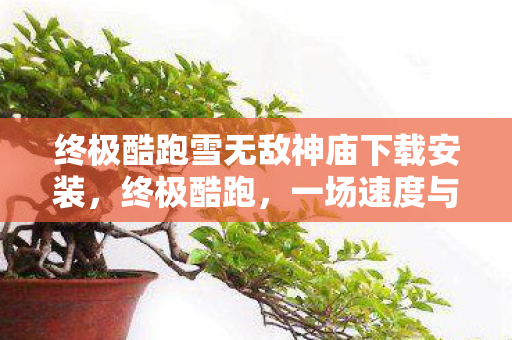 终极酷跑雪无敌神庙下载安装,终极酷跑,一场速度与激情的虚拟盛宴 终极酷跑雪无敌神庙下载安装,终极酷跑,一场速度与激情的虚拟盛宴