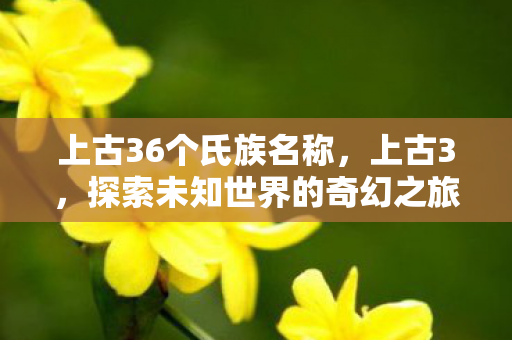 上古36个氏族名称,上古3,探索未知世界的奇幻之旅 上古36个氏族名称,上古3,探索未知世界的奇幻之旅