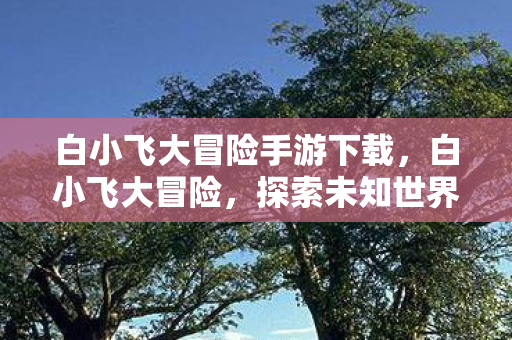 探索未知世界的奇妙旅程图片
