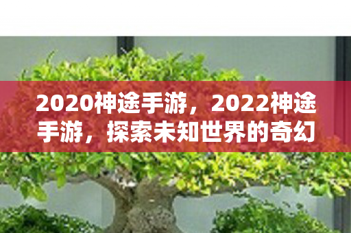 探索未知世界的奇幻之旅图片