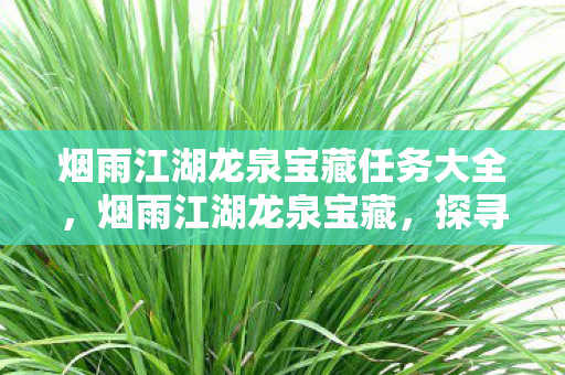 烟雨江湖龙泉宝藏任务大全图片
