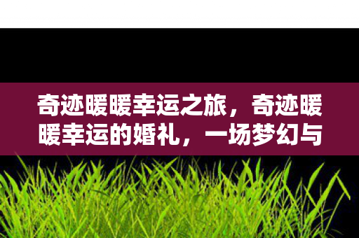 一场梦幻与现实交织的浪漫盛宴图片