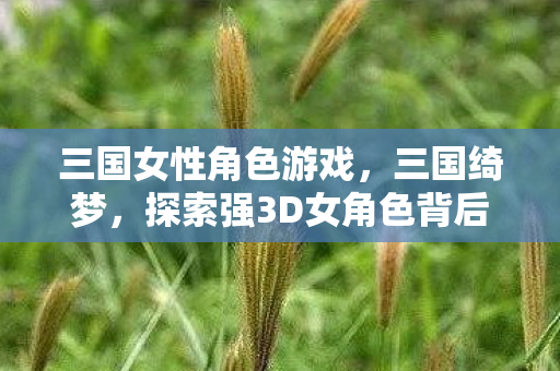 探索强3D女角色背后的游戏魅力图片