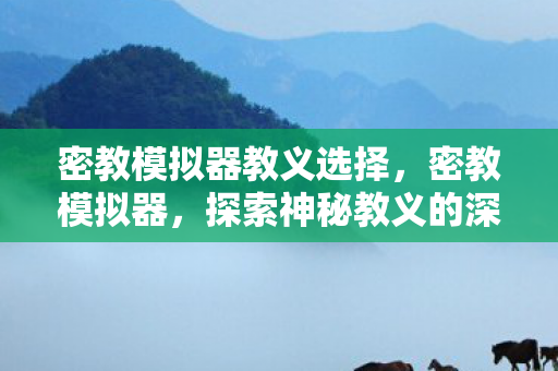 密教模拟器教义选择,密教模拟器,探索神秘教义的深度之旅 密教模拟器教义选择,密教模拟器,探索神秘教义的深度之旅