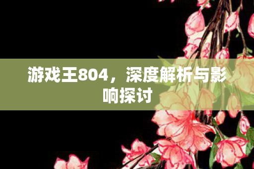 游戏王804，深度解析与影响探讨