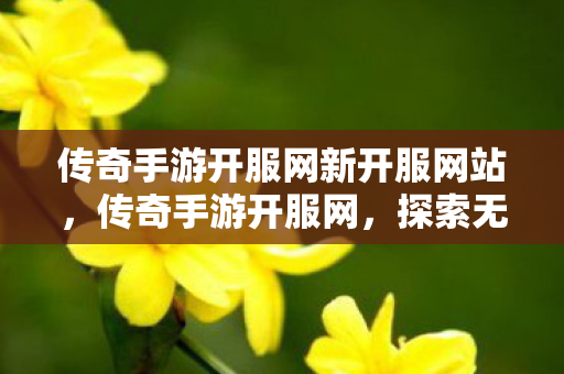 传奇手游开服网新开服网站,传奇手游开服网,探索无限可能的经典游戏世界 传奇手游开服网新开服网站,传奇手游开服网,探索无限可能的经典游戏世界