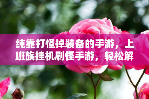 纯靠打怪掉装备的手游图片