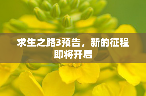 求生之路3预告,新的征程即将开启 求生之路3预告,新的征程即将开启