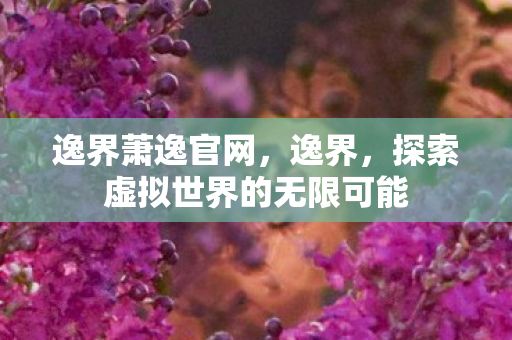 探索虚拟世界的无限可能图片