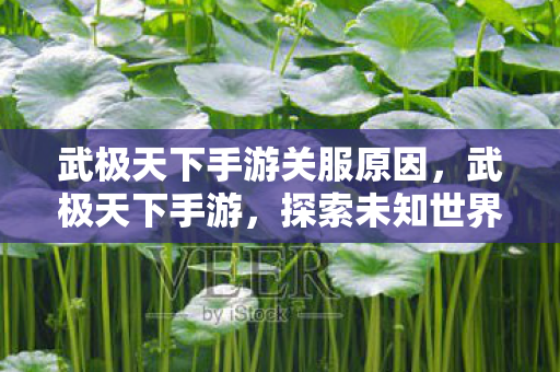 探索未知世界的奇幻之旅图片
