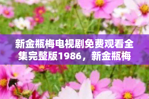 新金瓶梅电视剧免费观看全集完整版1986图片