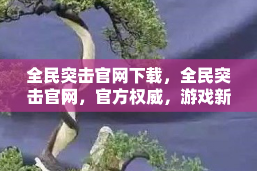 全民突击官网下载,全民突击官网,官方权威,游戏新体验 全民突击官网下载,全民突击官网,官方权威,游戏新体验