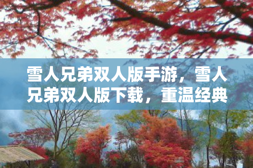 雪人兄弟双人版手游，雪人兄弟双人版下载，重温经典，共享欢乐
