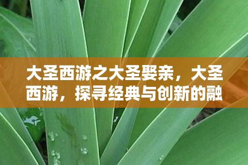 探寻经典与创新的融合之旅图片