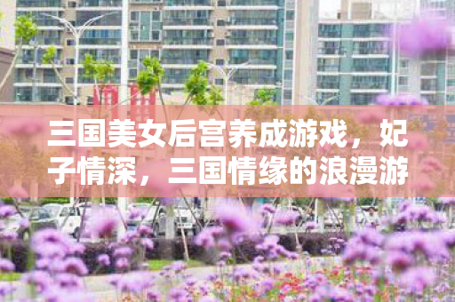 三国情缘的浪漫游戏之旅图片
