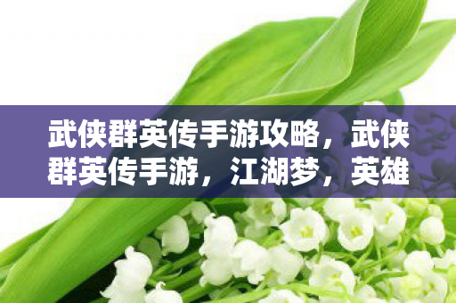 武侠群英传手游攻略图片
