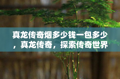 真龙传奇烟多少钱一包多少图片
