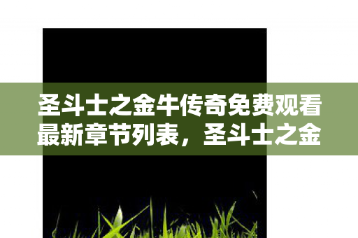 圣斗士之金牛传奇免费观看最新章节列表,圣斗士之金牛传奇,黄金之血,坚韧之魂 圣斗士之金牛传奇免费观看最新章节列表,圣斗士之金牛传奇,黄金之血,坚韧之魂