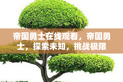 帝国勇士在线观看,帝国勇士,探索未知,挑战极限 帝国勇士在线观看,帝国勇士,探索未知,挑战极限