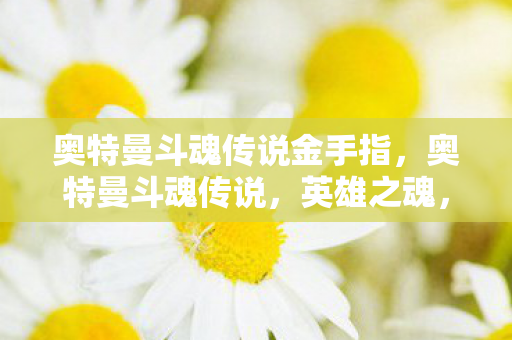 奥特曼斗魂传说金手指图片