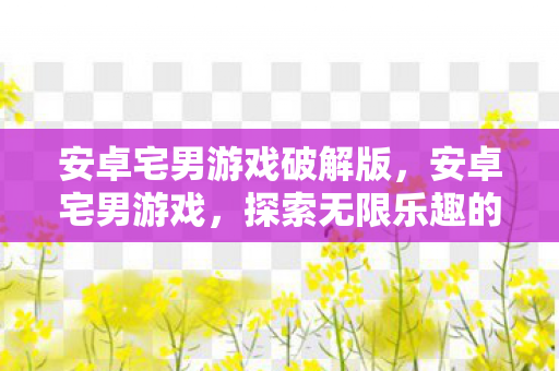 安卓宅男游戏破解版,安卓宅男游戏,探索无限乐趣的掌上世界 安卓宅男游戏破解版,安卓宅男游戏,探索无限乐趣的掌上世界
