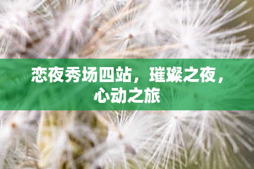 恋夜秀场四站,璀璨之夜,心动之旅 恋夜秀场四站,璀璨之夜,心动之旅