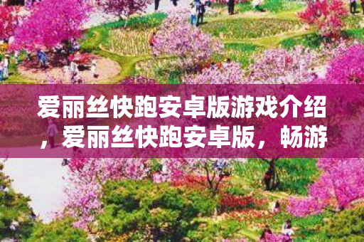 爱丽丝快跑安卓版游戏介绍图片