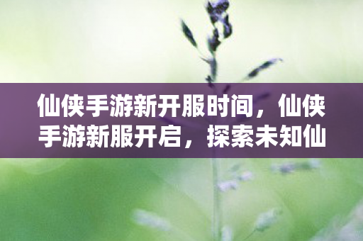 探索未知仙境的奇妙之旅图片