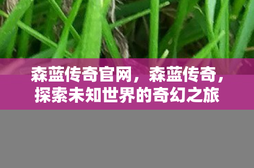 森蓝传奇官网,森蓝传奇,探索未知世界的奇幻之旅 森蓝传奇官网,森蓝传奇,探索未知世界的奇幻之旅