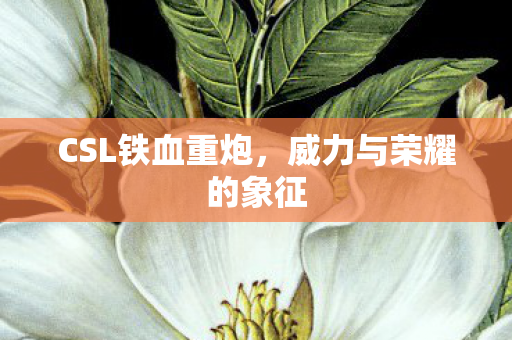 CSL铁血重炮，威力与荣耀的象征