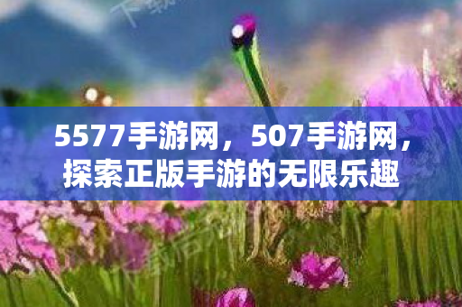 探索正版手游的无限乐趣图片