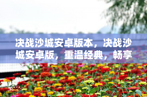 畅享移动端的传奇之旅图片