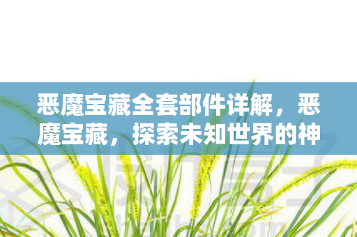 恶魔宝藏全套部件详解，恶魔宝藏，探索未知世界的神秘财富