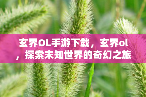 玄界OL手游下载,玄界ol,探索未知世界的奇幻之旅 玄界OL手游下载,玄界ol,探索未知世界的奇幻之旅