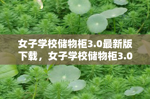 女子学校储物柜3.0最新版下载,女子学校储物柜3.0,解锁校园新风尚,打造个性化储物空间 女子学校储物柜3.0最新版下载,女子学校储物柜3.0,解锁校园新风尚,打造个性化储物空间