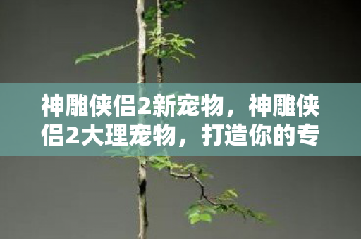 神雕侠侣2新宠物,神雕侠侣2大理宠物,打造你的专属战斗伙伴 神雕侠侣2新宠物,神雕侠侣2大理宠物,打造你的专属战斗伙伴