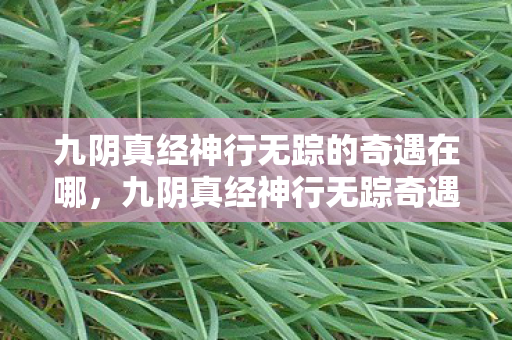 九阴真经神行无踪的奇遇在哪,九阴真经神行无踪奇遇,探索未知世界的神秘之旅 九阴真经神行无踪的奇遇在哪,九阴真经神行无踪奇遇,探索未知世界的神秘之旅