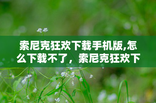 索尼克狂欢下载手机版,怎么下载不了,索尼克狂欢下载手机版,重温经典,随时随地畅享游戏乐趣 索尼克狂欢下载手机版,怎么下载不了,索尼克狂欢下载手机版,重温经典,随时随地畅享游戏乐趣